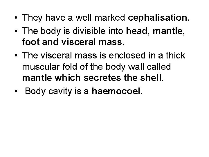  • They have a well marked cephalisation. • The body is divisible into