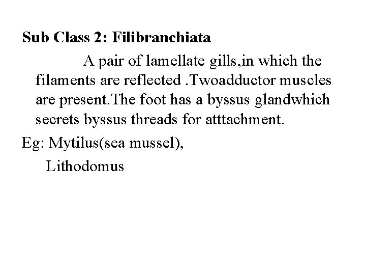Sub Class 2: Filibranchiata A pair of lamellate gills, in which the filaments are