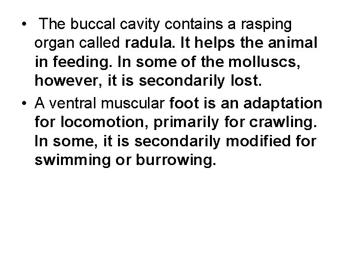 • The buccal cavity contains a rasping organ called radula. It helps the