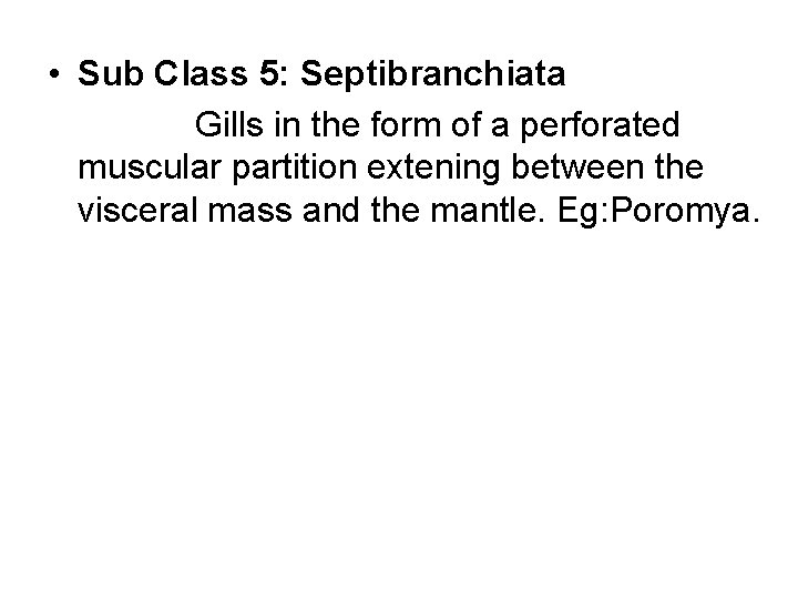  • Sub Class 5: Septibranchiata Gills in the form of a perforated muscular