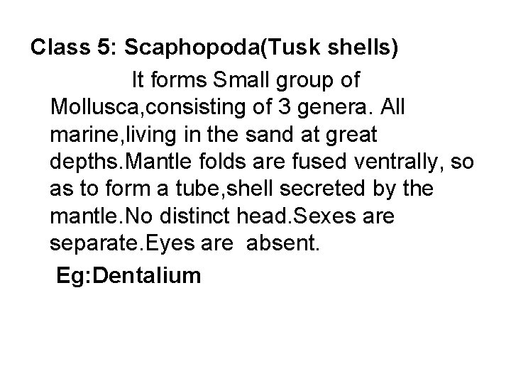 Class 5: Scaphopoda(Tusk shells) It forms Small group of Mollusca, consisting of 3 genera.