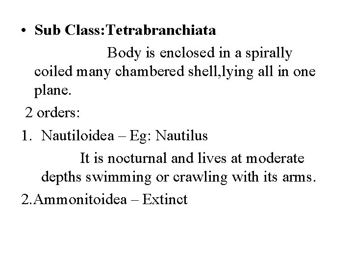  • Sub Class: Tetrabranchiata Body is enclosed in a spirally coiled many chambered