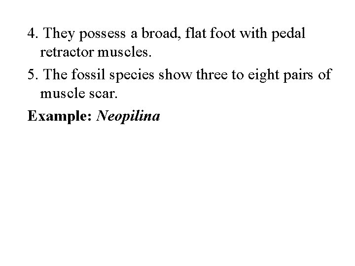 4. They possess a broad, flat foot with pedal retractor muscles. 5. The fossil