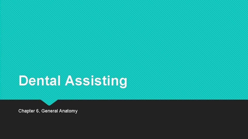 Dental Assisting Chapter 6 General Anatomy Introduction Anatomy