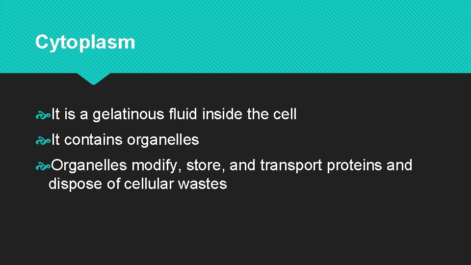 Cytoplasm It is a gelatinous fluid inside the cell It contains organelles Organelles modify,