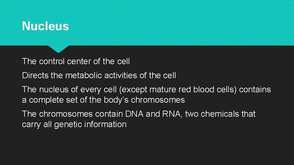 Nucleus The control center of the cell Directs the metabolic activities of the cell