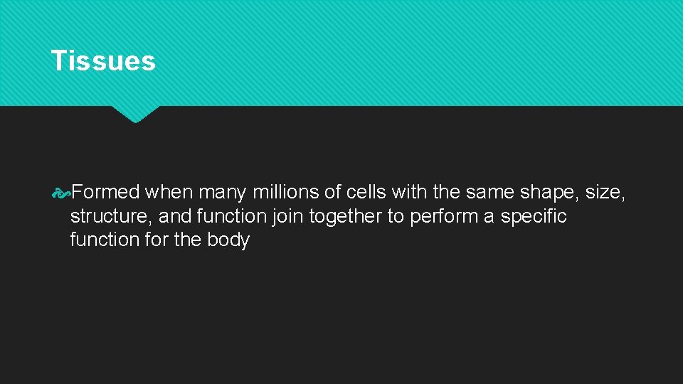 Tissues Formed when many millions of cells with the same shape, size, structure, and