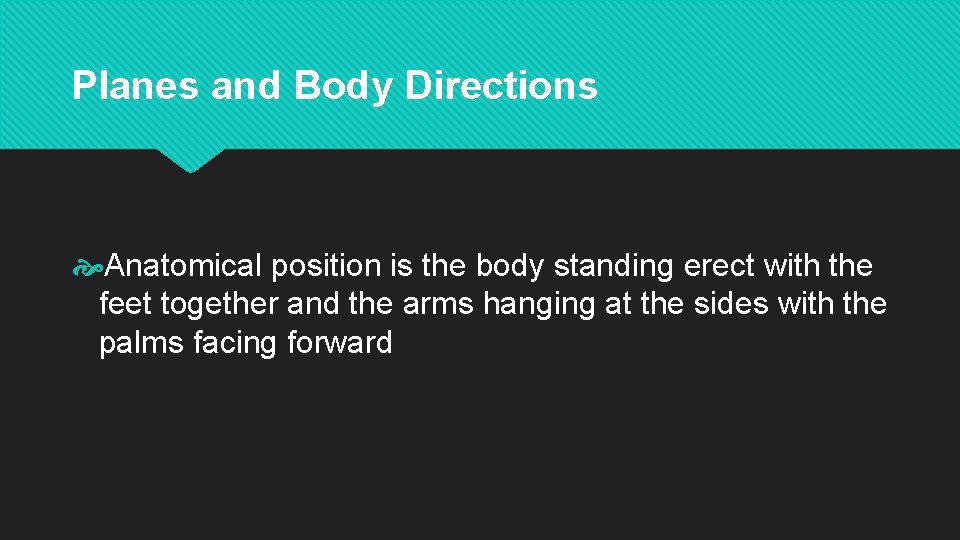 Planes and Body Directions Anatomical position is the body standing erect with the feet