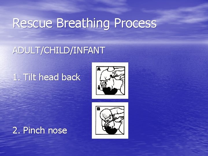 Rescue Breathing Process ADULT/CHILD/INFANT 1. Tilt head back 2. Pinch nose 