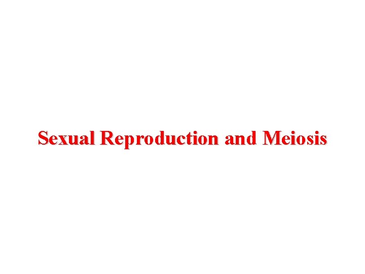 Sexual Reproduction and Meiosis 