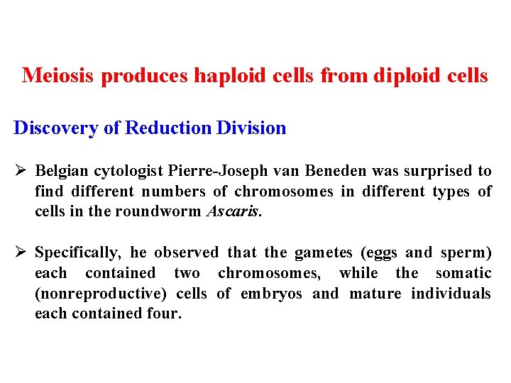 Meiosis produces haploid cells from diploid cells Discovery of Reduction Division Ø Belgian cytologist