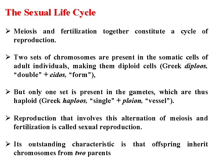 The Sexual Life Cycle Ø Meiosis and fertilization together constitute a cycle of reproduction.