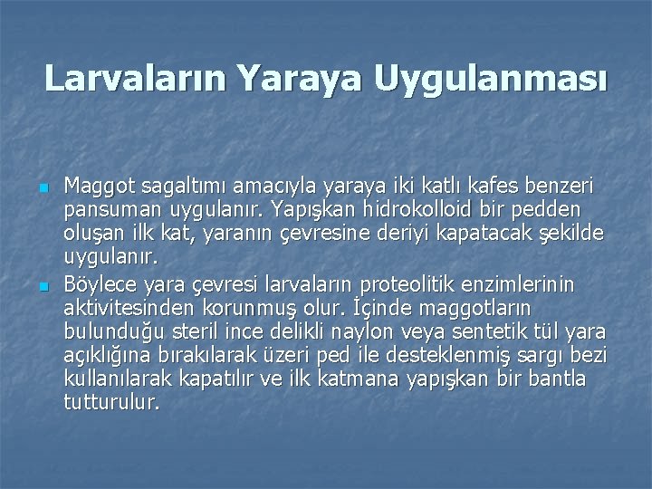 Larvaların Yaraya Uygulanması n n Maggot sagaltımı amacıyla yaraya iki katlı kafes benzeri pansuman