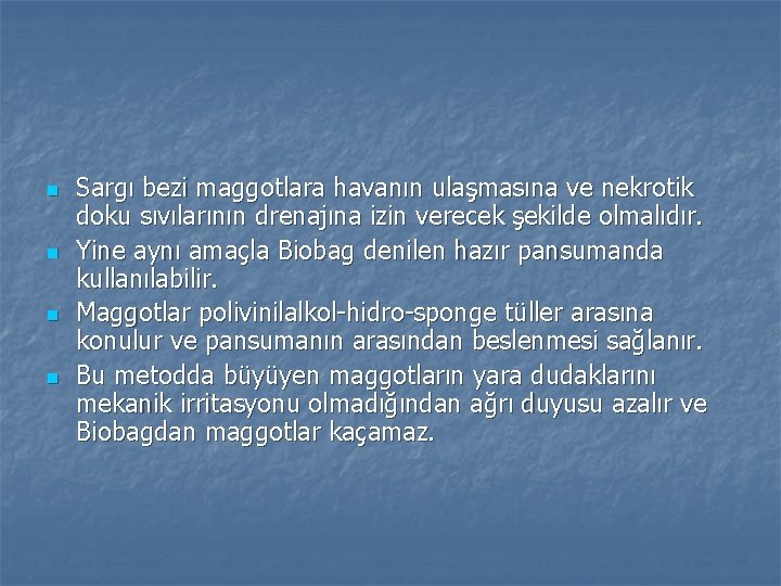 n n Sargı bezi maggotlara havanın ulaşmasına ve nekrotik doku sıvılarının drenajına izin verecek