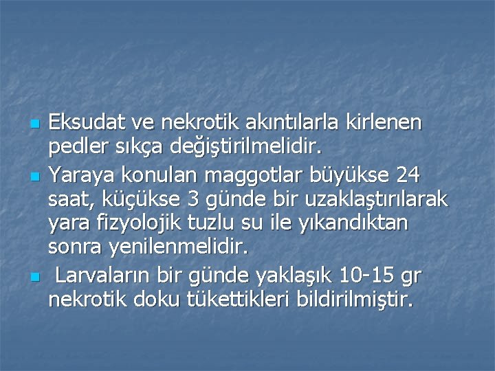 n n n Eksudat ve nekrotik akıntılarla kirlenen pedler sıkça değiştirilmelidir. Yaraya konulan maggotlar