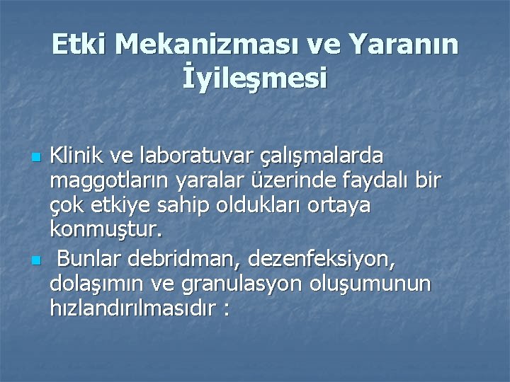 Etki Mekanizması ve Yaranın İyileşmesi n n Klinik ve laboratuvar çalışmalarda maggotların yaralar üzerinde
