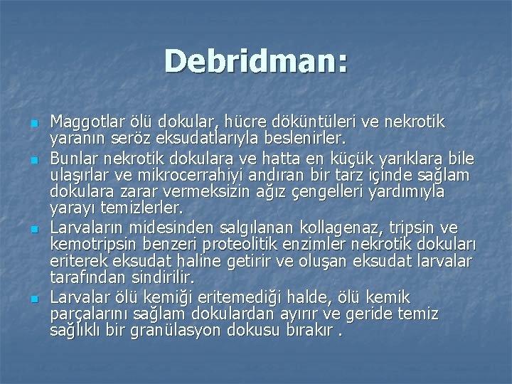 Debridman: n n Maggotlar ölü dokular, hücre döküntüleri ve nekrotik yaranın seröz eksudatlarıyla beslenirler.