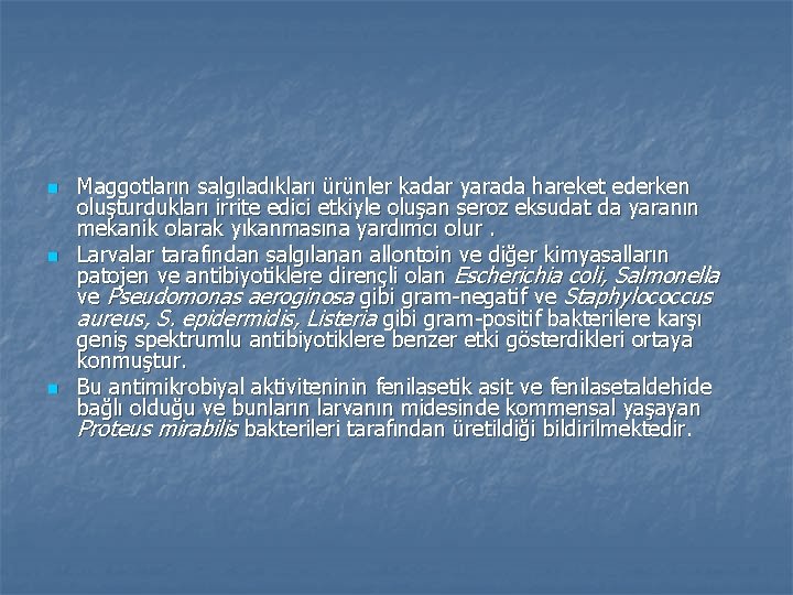 n n n Maggotların salgıladıkları ürünler kadar yarada hareket ederken oluşturdukları irrite edici etkiyle