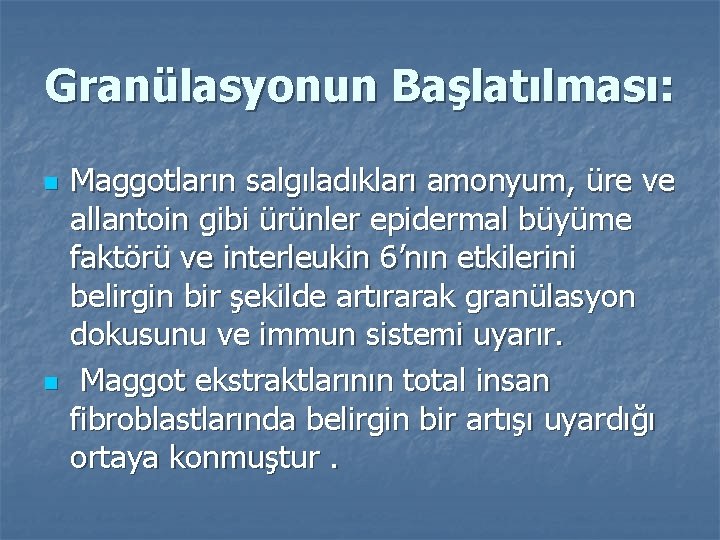 Granülasyonun Başlatılması: n n Maggotların salgıladıkları amonyum, üre ve allantoin gibi ürünler epidermal büyüme