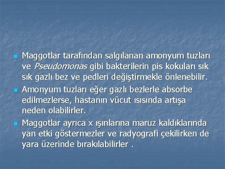n n n Maggotlar tarafından salgılanan amonyum tuzları ve Pseudomonas gibi bakterilerin pis kokuları