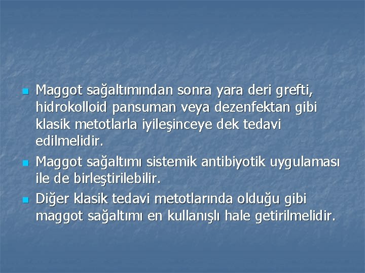 n n n Maggot sağaltımından sonra yara deri grefti, hidrokolloid pansuman veya dezenfektan gibi