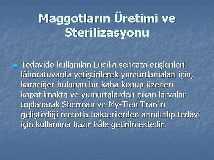 Maggotların Üretimi ve Sterilizasyonu n Tedavide kullanılan Lucilia sericata erişkinleri lâboratuvarda yetiştirilerek yumurtlamaları için,