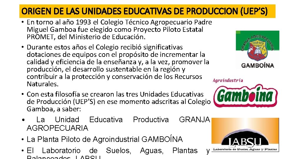 ORIGEN DE LAS UNIDADES EDUCATIVAS DE PRODUCCION (UEP’S) • En torno al año 1993