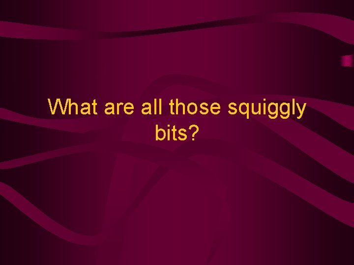 What are all those squiggly bits? 