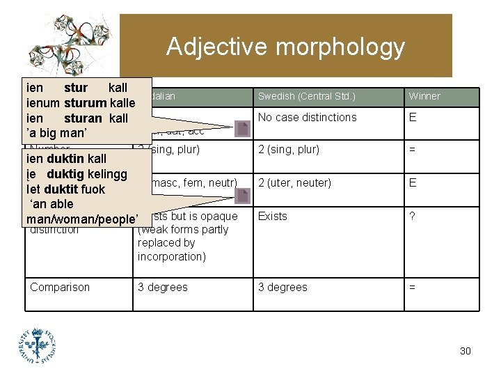 Adjective morphology ien stur kall Subarea Elfdalian ienum sturum kalle Case sturan kall 3 Adjective morphology ien stur kall Subarea Elfdalian ienum sturum kalle Case sturan kall 3