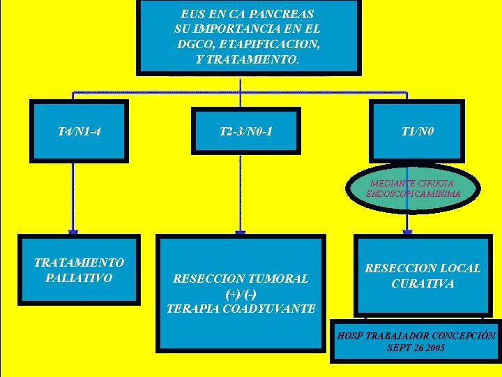 EUS EN CA PANCREAS SU IMPORTANCIA EN EL DGCO, ETAPIFICACION, Y TRATAMIENTO. T 4/N