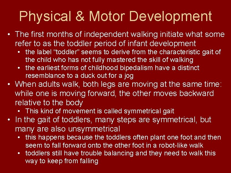 Physical & Motor Development • The first months of independent walking initiate what some