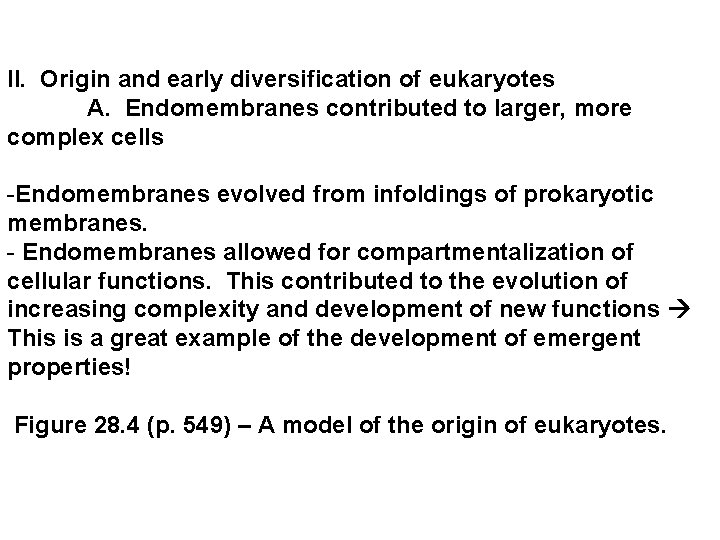 II. Origin and early diversification of eukaryotes A. Endomembranes contributed to larger, more complex