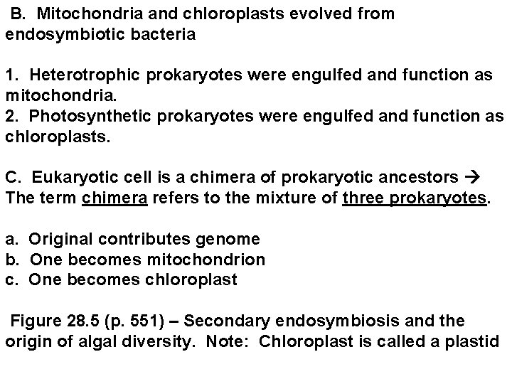  B. Mitochondria and chloroplasts evolved from endosymbiotic bacteria 1. Heterotrophic prokaryotes were engulfed