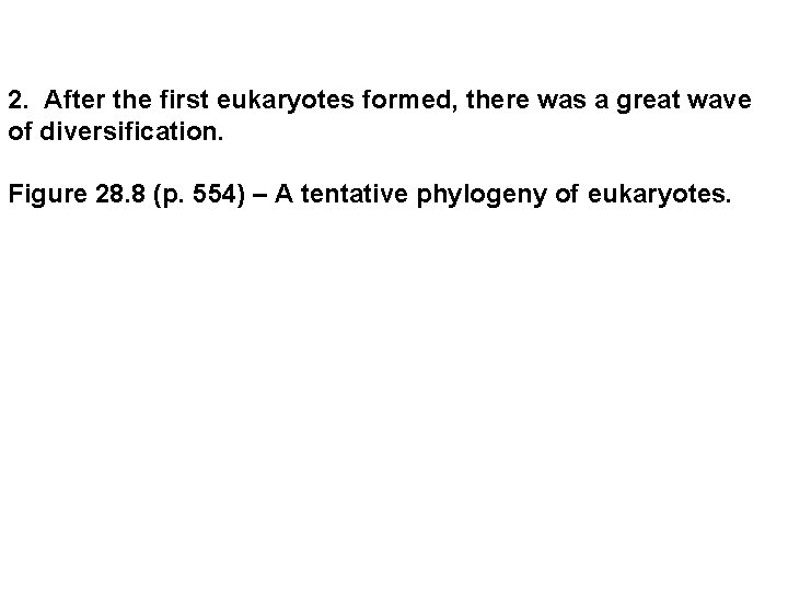 2. After the first eukaryotes formed, there was a great wave of diversification. Figure