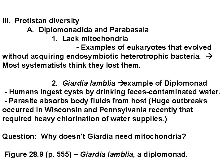 III. Protistan diversity A. Diplomonadida and Parabasala 1. Lack mitochondria - Examples of eukaryotes
