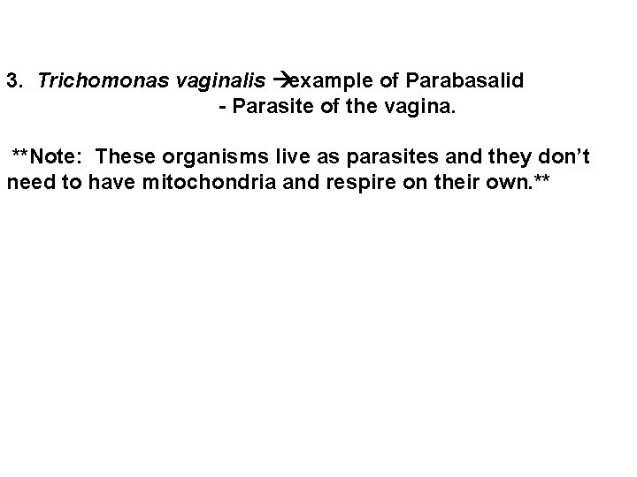 3. Trichomonas vaginalis example of Parabasalid - Parasite of the vagina. **Note: These organisms