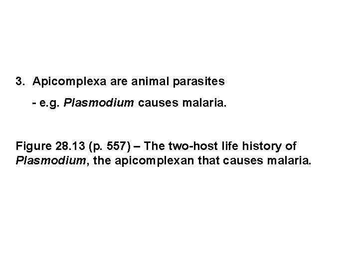  3. Apicomplexa are animal parasites - e. g. Plasmodium causes malaria. Figure 28.