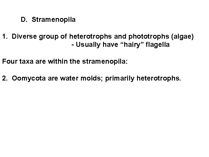  D. Stramenopila 1. Diverse group of heterotrophs and phototrophs (algae) - Usually have