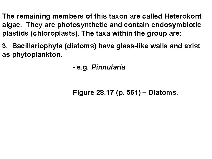 The remaining members of this taxon are called Heterokont algae. They are photosynthetic and