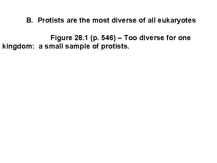  B. Protists are the most diverse of all eukaryotes Figure 28. 1 (p.