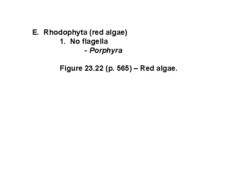 E. Rhodophyta (red algae) 1. No flagella - Porphyra Figure 23. 22 (p.