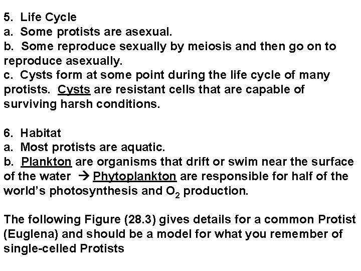 5. Life Cycle a. Some protists are asexual. b. Some reproduce sexually by meiosis