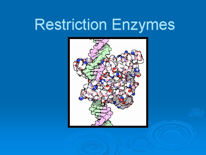 Restriction Enzymes 