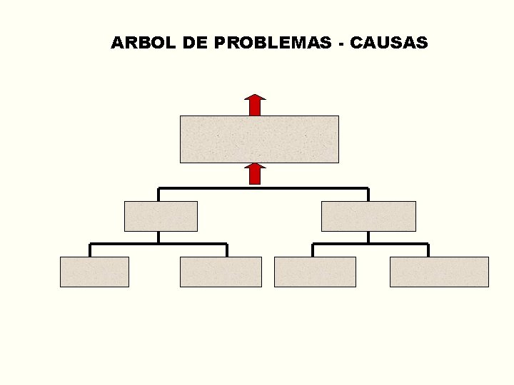 ARBOL DE PROBLEMAS - CAUSAS 