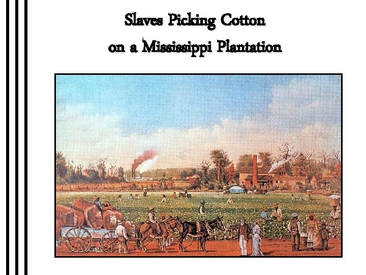 Slaves Picking Cotton on a Mississippi Plantation 