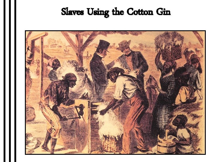 Slaves Using the Cotton Gin 