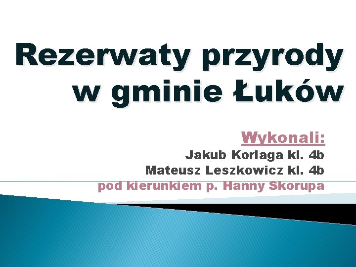 Rezerwaty przyrody w gminie Łuków Wykonali: Jakub Korlaga kl. 4 b Mateusz Leszkowicz kl.