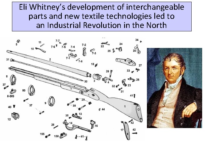 Eli Whitney’s development of interchangeable parts and new textile technologies led to an Industrial