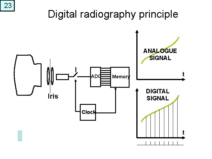 23 Digital radiography principle ANALOGUE SIGNAL I ADC t Memory DIGITAL SIGNAL Iris Clock