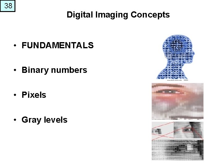 38 Digital Imaging Concepts • FUNDAMENTALS • Binary numbers • Pixels • Gray levels